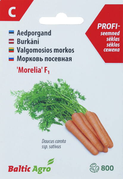 Porgand "Morelia" F1